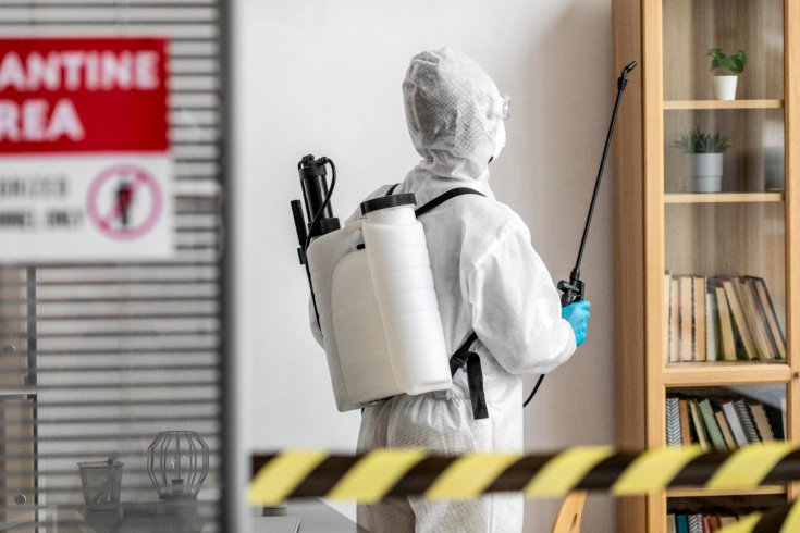 Who Is Responsible for Pest Control in a Rental Property?