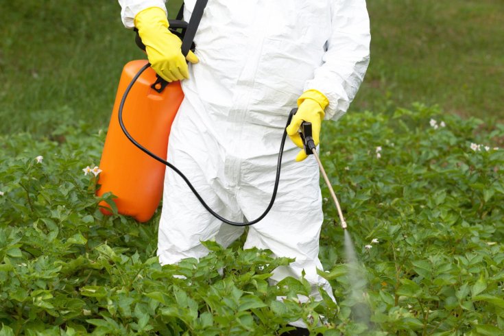 3 Tips for Eco-Friendly Pest Control Practices This Earth Month