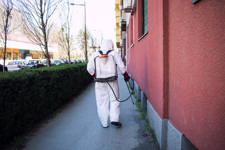 The One Thing Most People Get Wrong About Pest Control vs. Pest Removal