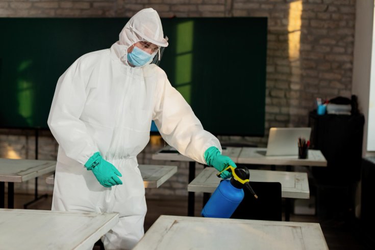 Droppings, Smells, and Damage: How to Spot an Infestation