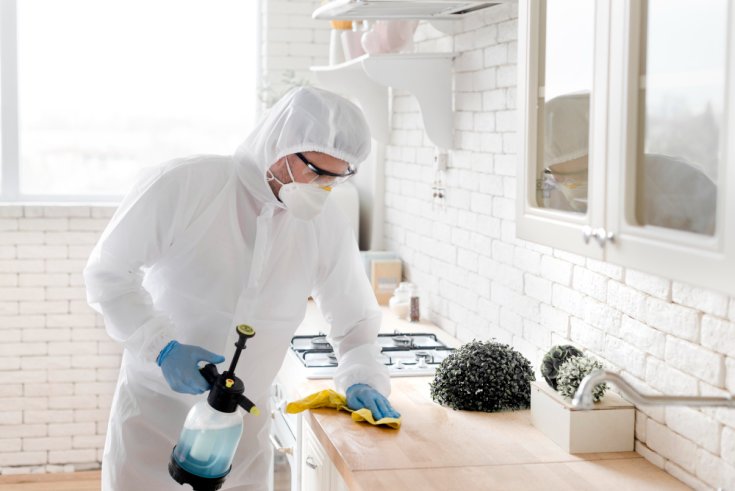 Is That a Bug or Just Dust? (How to Spot the First Signs of a Hidden Infestation)