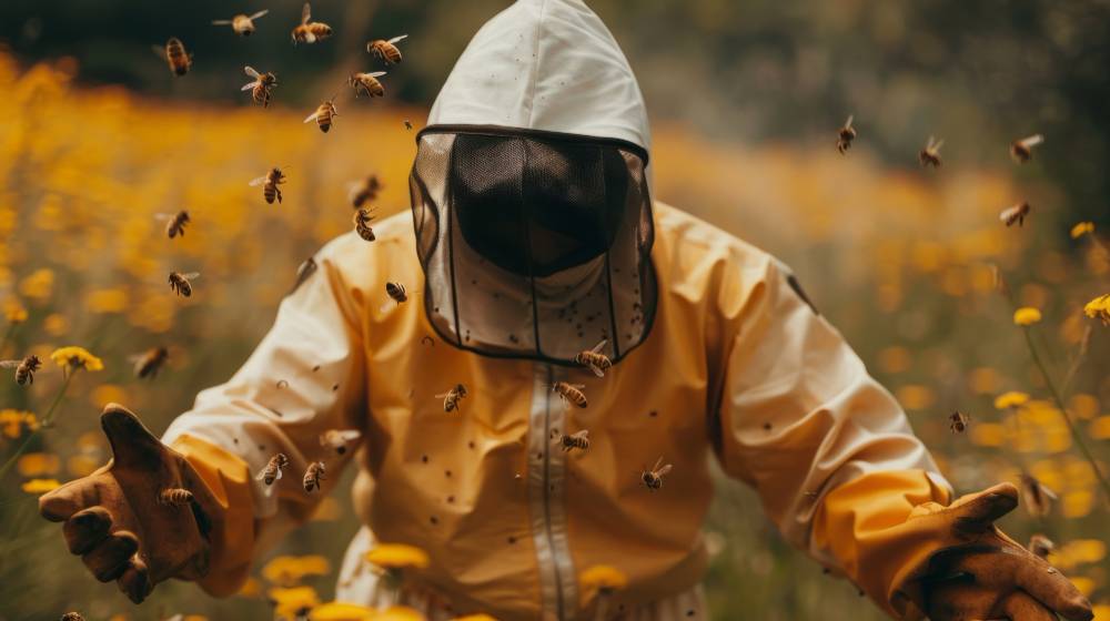 Bee Removal in Temecula, CA